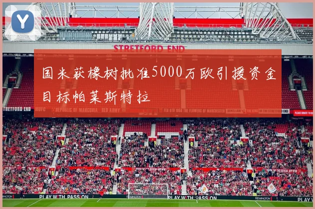 国米获橡树批准5000万欧引援资金目标帕莱斯特拉