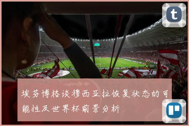 埃芬博格谈穆西亚拉恢复状态的可能性及世界杯前景分析