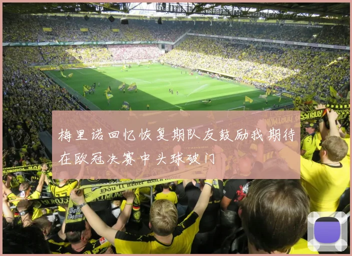 梅里诺回忆恢复期队友鼓励我期待在欧冠决赛中头球破门