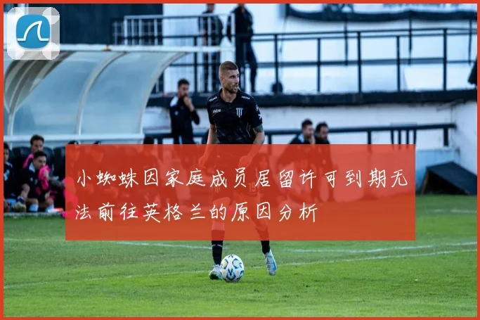 小蜘蛛因家庭成员居留许可到期无法前往英格兰的原因分析